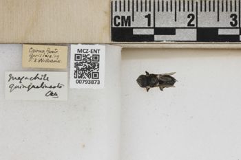 Media type: image;   Entomology 793873 Aspect: Labels